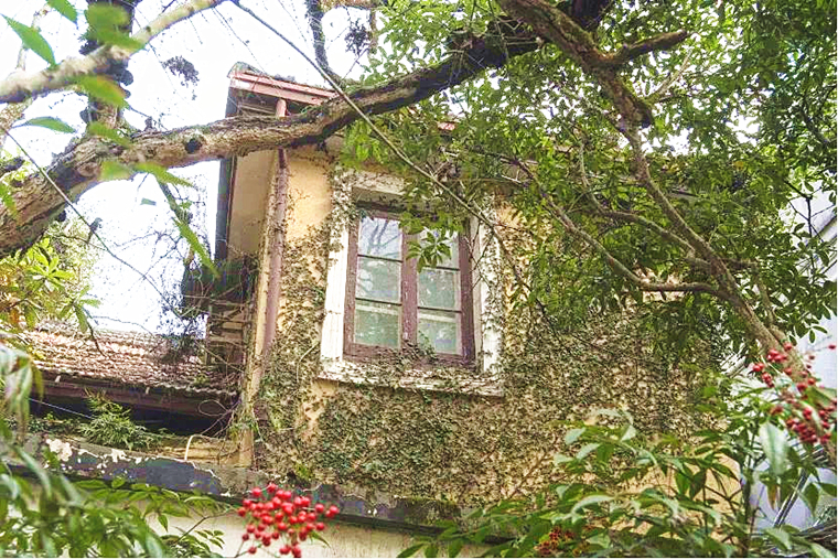 杭州北山街54号曾是不挂牌的北大招待所