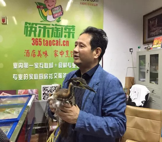 今年6月5日晚，市民唐先生在千岛湖中救起送交淳安森林警察的海南虎斑鳽